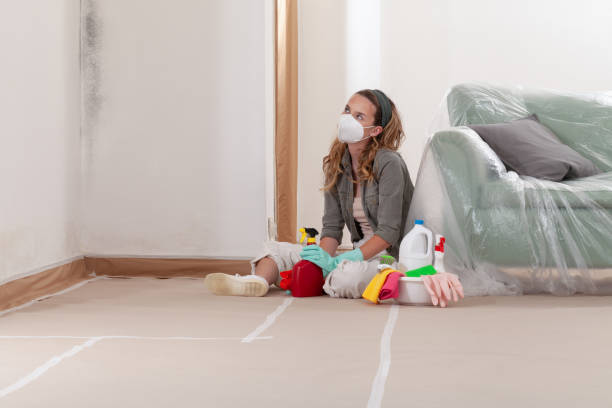 Reliable Mold Remediation contractor in Fairwood, WA by 24 Hour Mold Removal